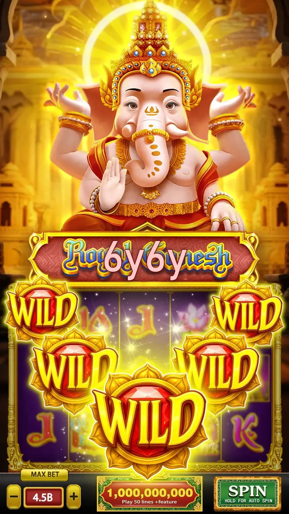 6y6y APK